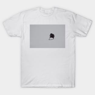 Crow in the Snow T-Shirt